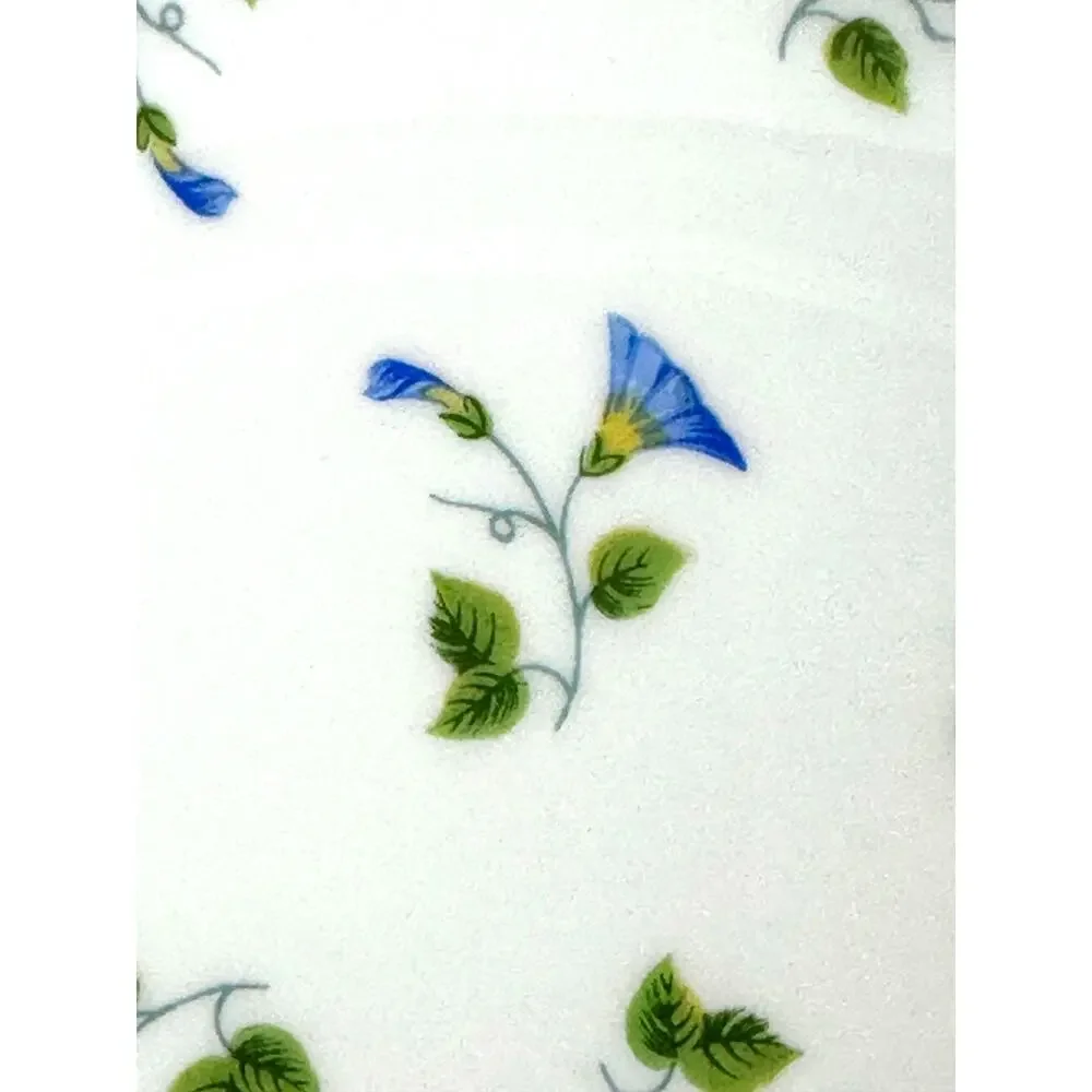 Raynaud Ceralene Limoges Morning Glory Spray 10.75
